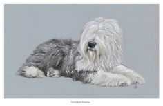 236x154 best old english sheepdog drawings and art images - Old English Sheepdog Drawing