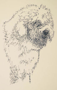 192x300 old english sheepdog signed art dog lithograph - Old English Sheepdog Drawing