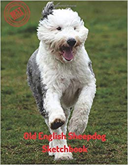 260x335 old english sheepdog sketchbook blank paper for drawing, doodling - Old English Sheepdog Drawing
