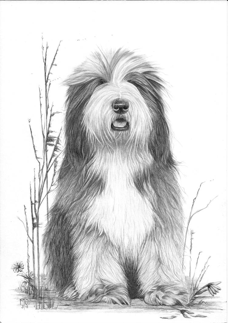 751x1063 old english sheepdog - Old English Sheepdog Drawing