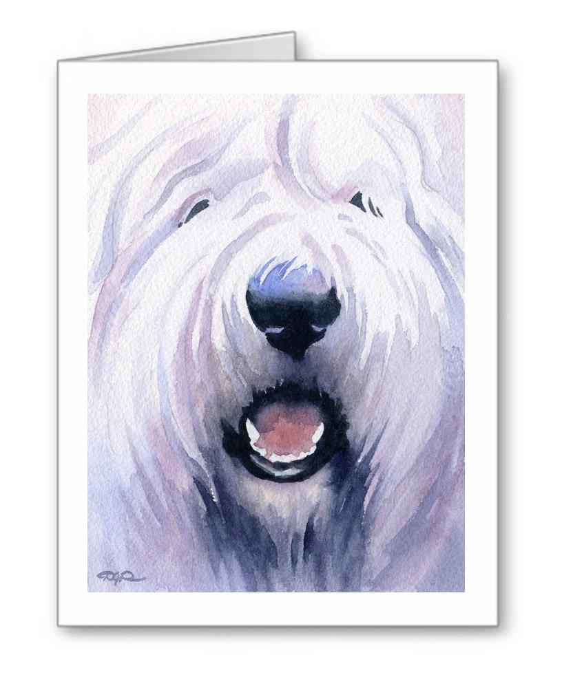 816x1000 old english sheepdog - Old English Sheepdog Drawing