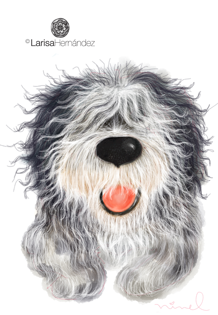 720x1038 old english sheepdog - Old English Sheepdog Drawing