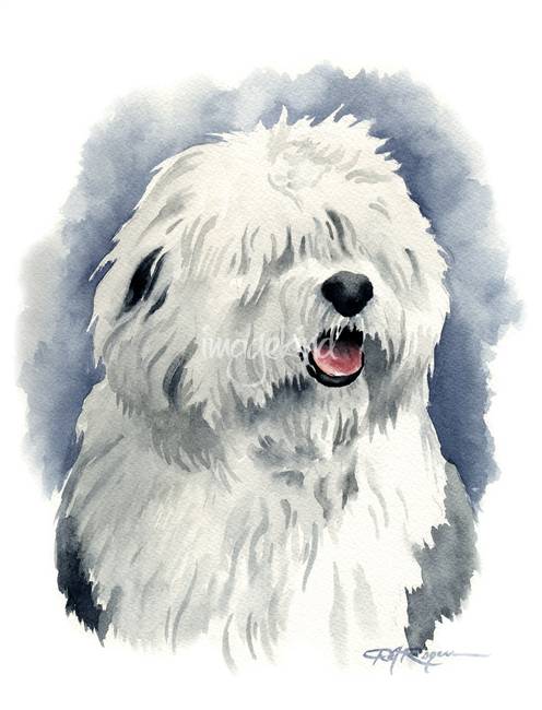 Old English Sheepdog Drawing at PaintingValley.com | Explore collection ...