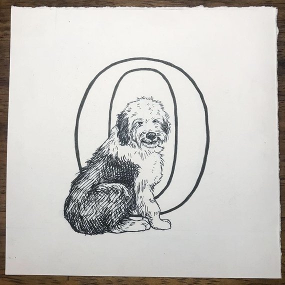 570x570 o is for old english sheepdog original ink drawing etsy - Old English Sheepdog Drawing