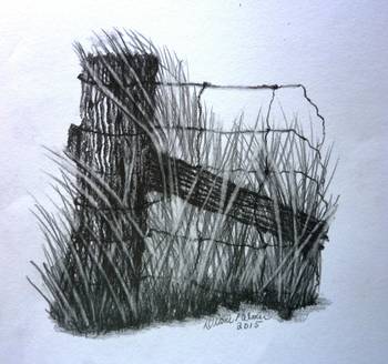 350x328 old farm fence pencil drawing - Old Farm Drawing