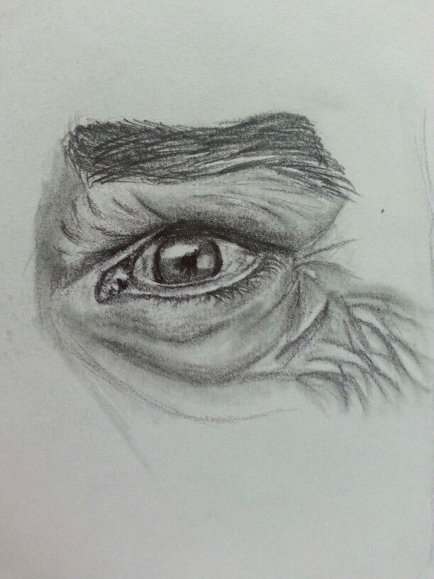 612x816 My Drawing Of Old Man Eye My Drawing In Drawings, My - Old Guy Drawing
