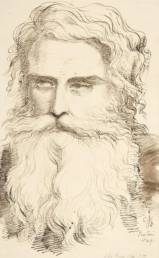 555x900 head of a bearded old man drawing - Old Man Drawing