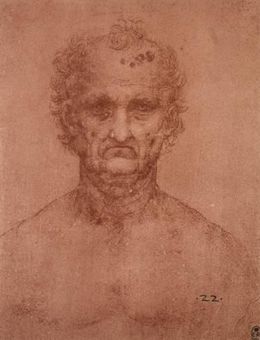 373x488 head of an old man, drawing, royal library, windsor giclee print - Old Man Drawing