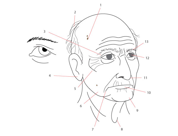600x458 Human Anatomy Fundamentals Drawing Different Ages - Old Man Face Drawing