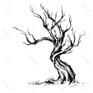 300x300 photostock vector old oak tree vector drawing soidergi - Old Oak Tree Drawing