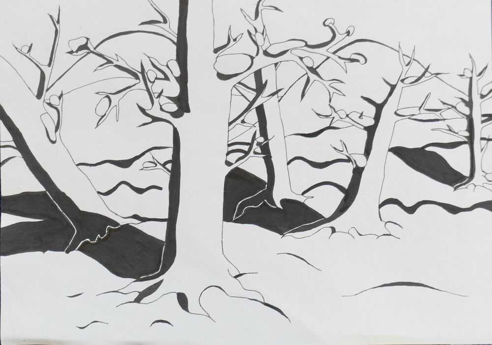 1000x700 Vintage Ink Drawing Old Oak Trees Forest X Cm Unsigned Ebay - Old Oak Tree Drawing