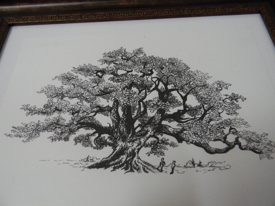 900x675 Oak Leaves Line Drawings - Old Oak Tree Drawing
