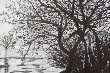 375x250 The Big Old Oak Tree Drawing - Old Oak Tree Drawing