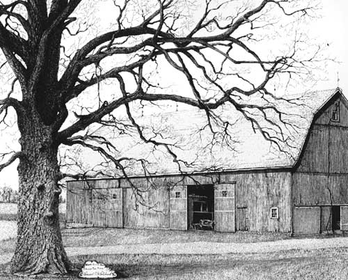 500x402 How To Draw An Oak Tree Step - Old Oak Tree Drawing