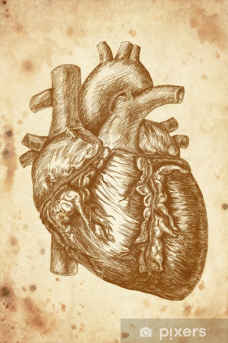 467x700 cursory drawing heart on old paper background wall mural pixers - Old Paper Drawing