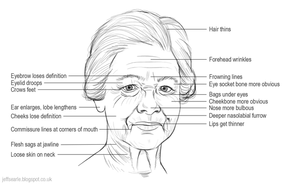 600x379 jeff searle drawing heads - Old Person Drawing