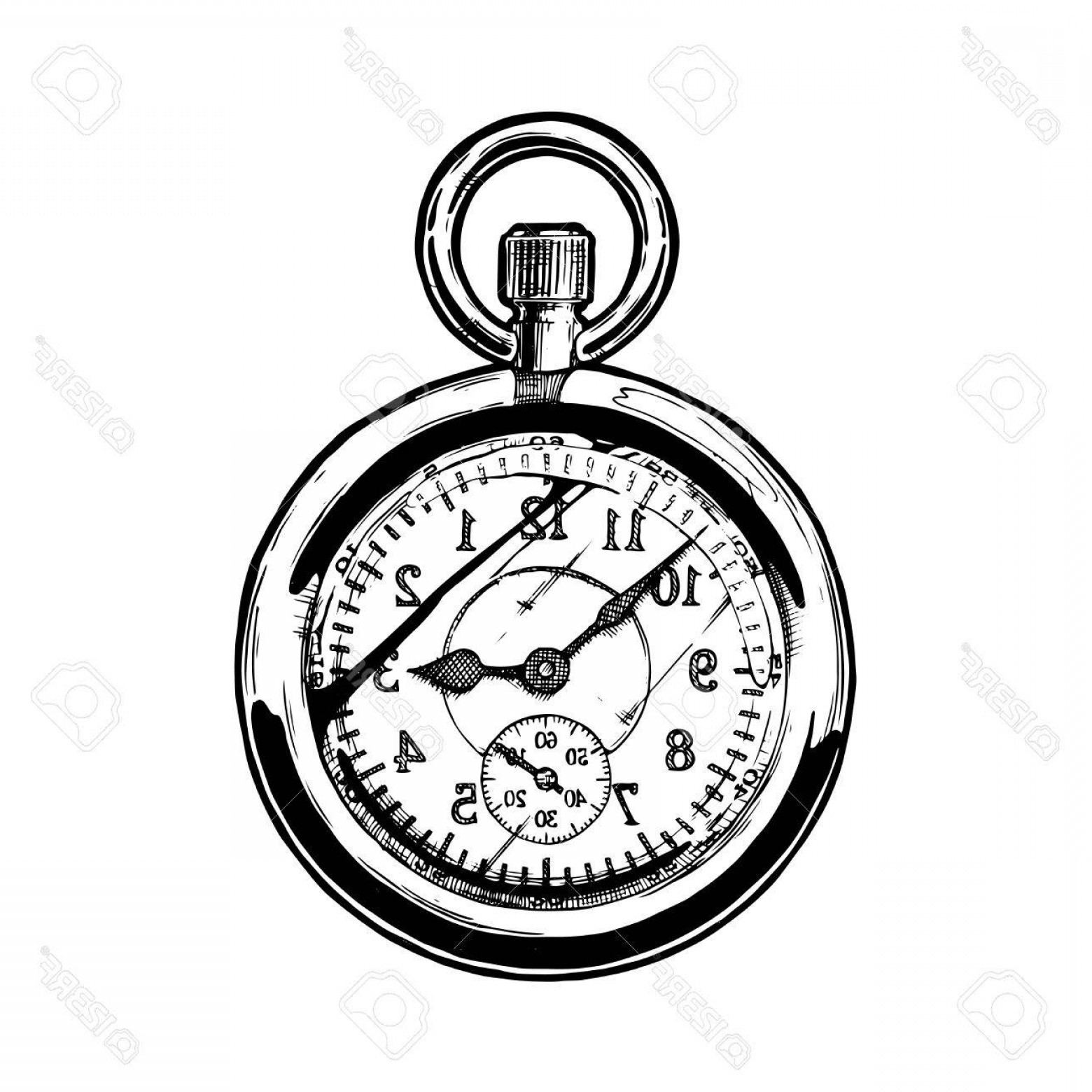 1560x1560 photostock vector vector ink hand drawn illustration of pocket - Old Pocket Watch Drawing