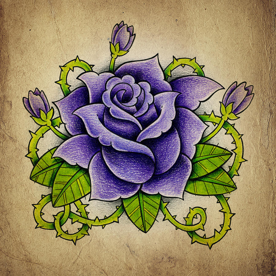 900x900 Purple Rose Photograph - Old School Rose Drawing