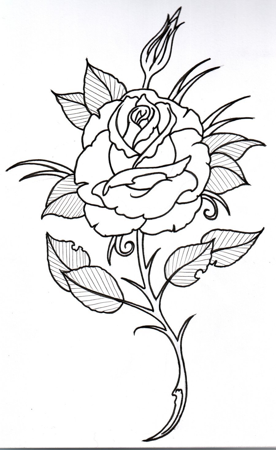 900x1469 Rose Clip Art Old School - Old School Rose Drawing