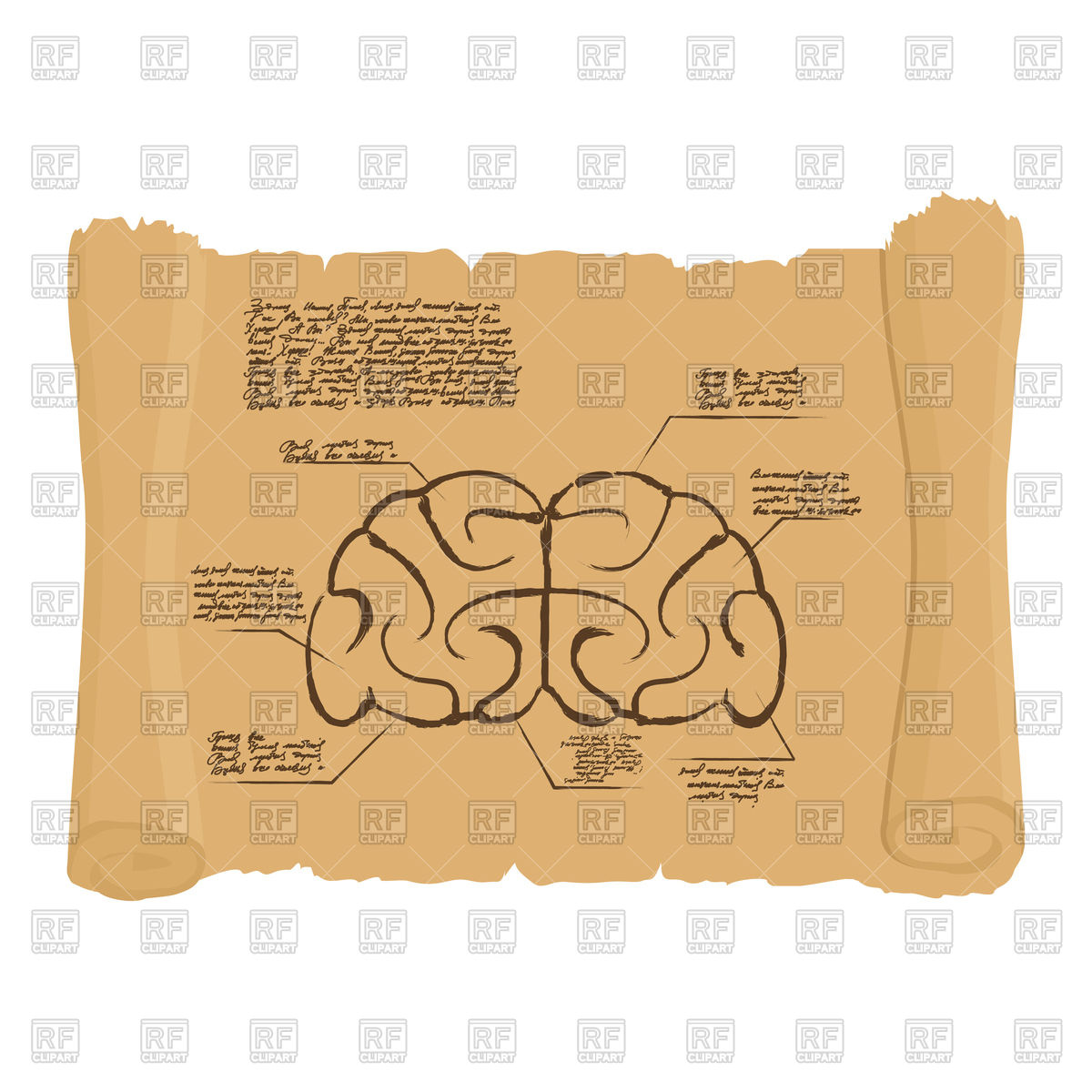 1200x1200 brain of old scroll drawing vector image of healthcare, medical - Old Scroll Drawing