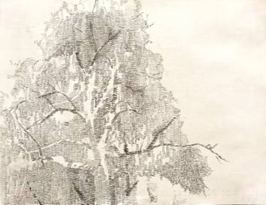 375x289 Old Tree Drawing - Old Tree Drawing