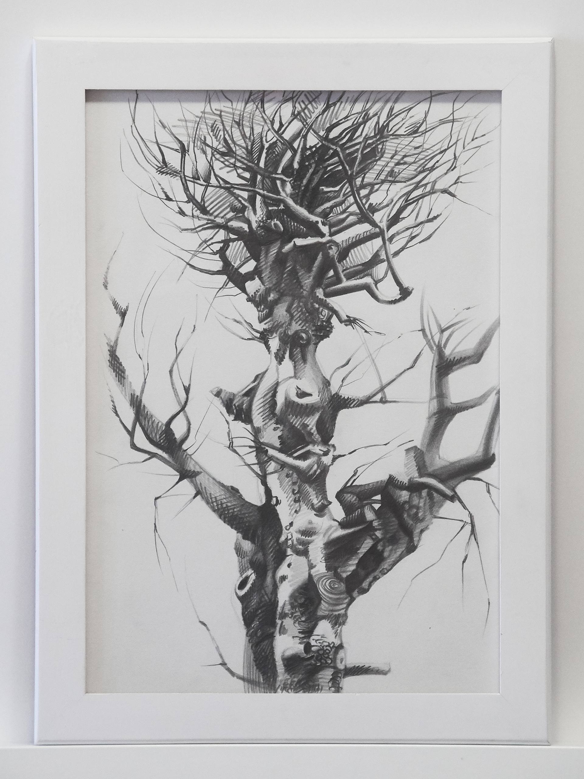 1920x2560 Old Tree, Sketch From Nature Drawing - Old Tree Drawing
