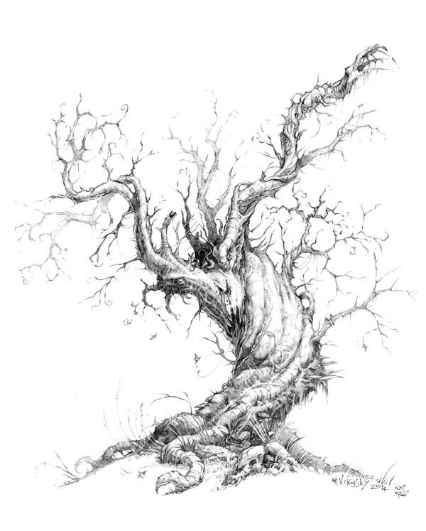 600x747 Old Tree Sketches In Drawings, Realistic Drawings - Old Tree Drawing