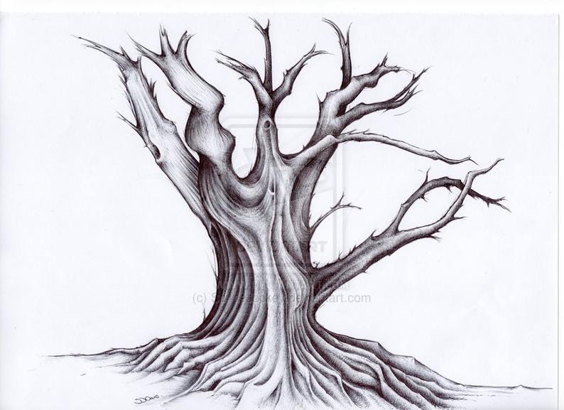 794x577 Tree Art Gnarley Old Tree Ink Drawing High Etsy - Old Tree Drawing