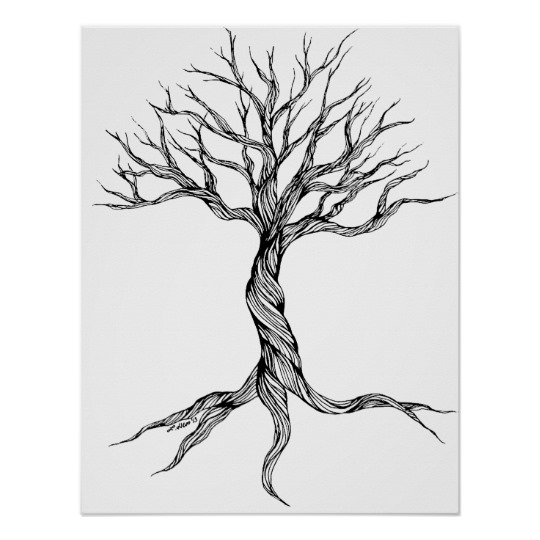 540x540 twisted old tree art print poster zazzle ca - Old Tree Drawing