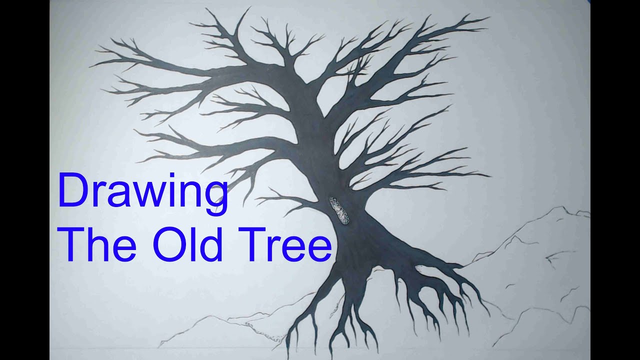 1280x720 Drawing An Old Tree - Old Tree Drawing