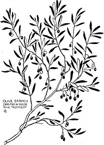 215x300 olive branch simplified in decor drawing - Olive Branch Drawing