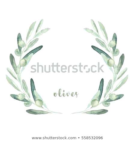 450x470 olive branch wreath drawing watercolor floral illustration - Olive Branch Drawing