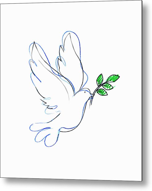 493x617 drawing of dove carrying olive branch metal print - Olive Branch Drawing