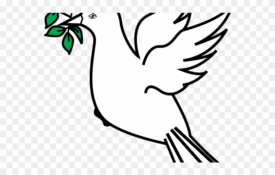 880x561 drawn dove olive branch drawing - Olive Branch Drawing