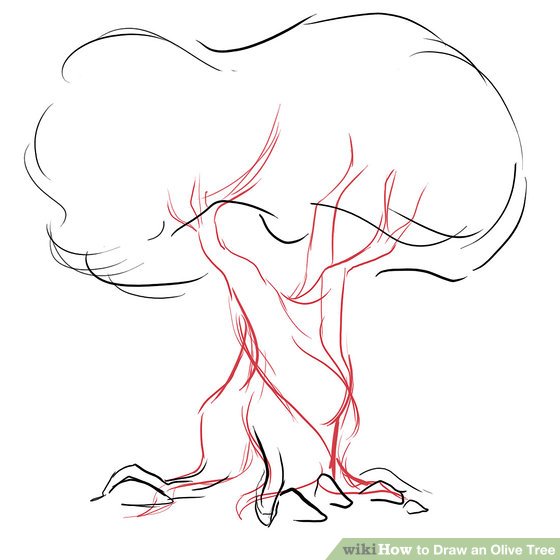 560x560 how to draw an olive tree steps - Olive Drawing