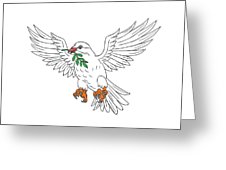 226x170 dove with olive leaf drawing poster - Olive Leaf Drawing