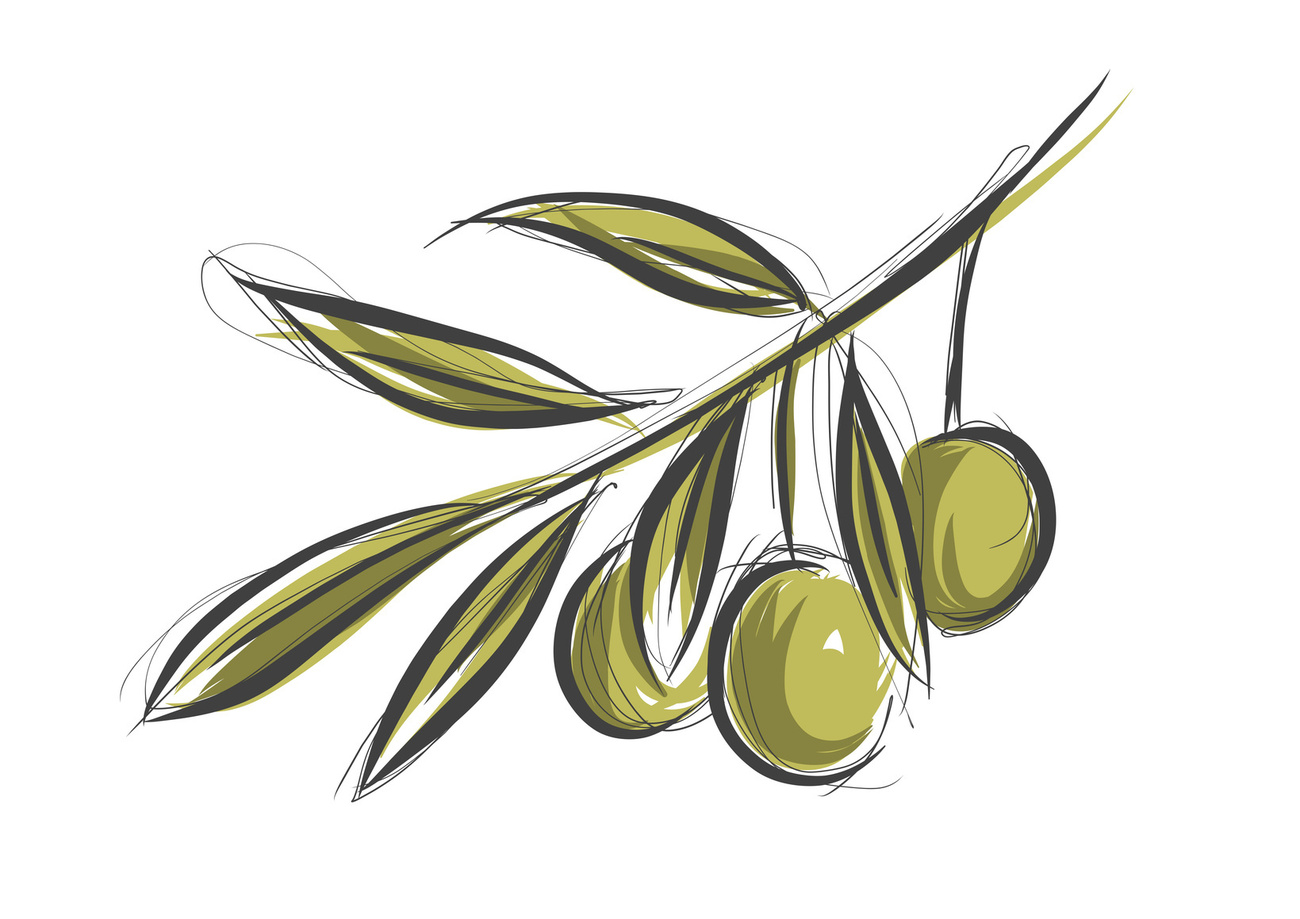 Цветные оливки на ветке