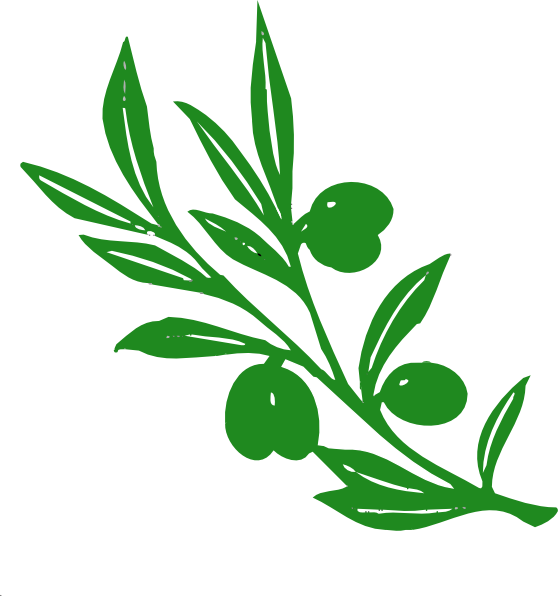 558x596 olive tree branch clip art - Olive Leaf Drawing