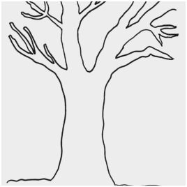 268x268 Olive Tree Coloring - Olive Leaf Drawing