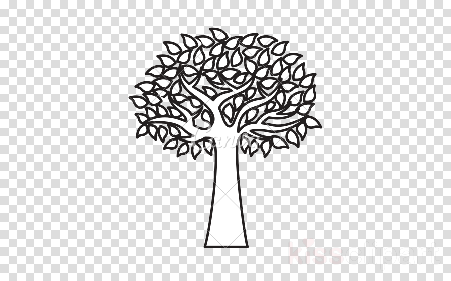 900x560 Tree, Flower, Leaf, Transparent Png Image Clipart Free Download - Olive Leaf Drawing
