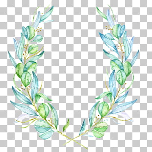 310x310 Watercolor Painting Leaf Drawing Ink, Hand Painted Olive Leaves - Olive Leaf Drawing