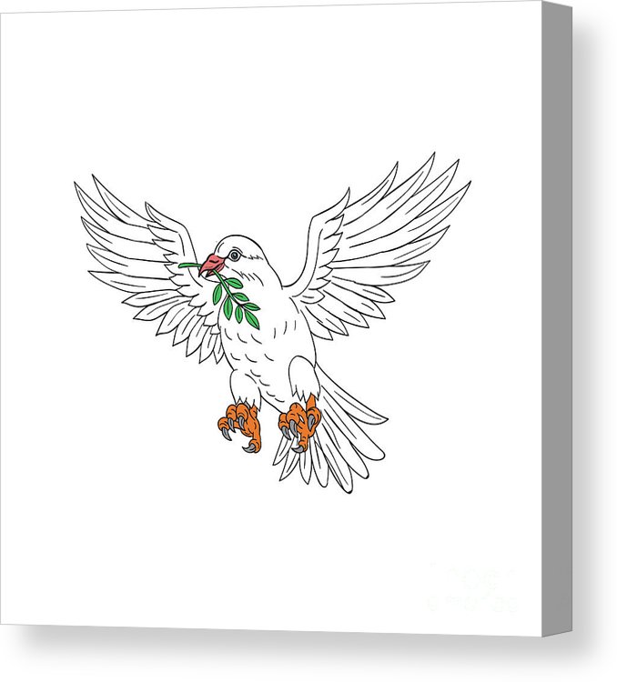 678x750 dove with olive leaf drawing canvas print canvas art - Olive Leaf Drawing