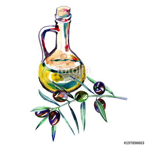 500x500 hand drawn watercolor illustration of olive oil drawing bottle - Olive Oil Drawing