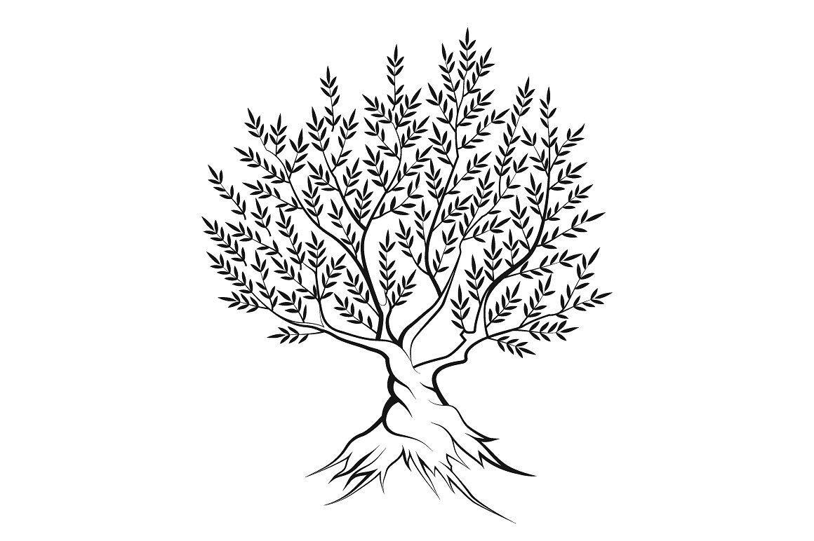 How To Draw A Olive Tree | PIXMOB