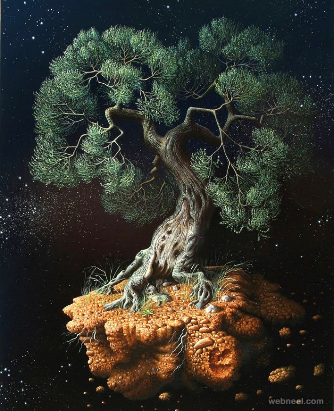 660x810 Olive Tree Drawing - Olive Tree Drawing