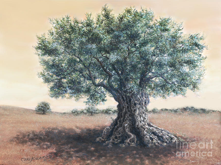 900x674 The Biblical Olive Tree Painting - Olive Tree Drawing