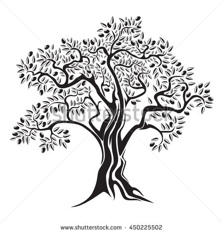 450x470 vector image black white sketch template stock vector, olive tree - Olive Tree Drawing