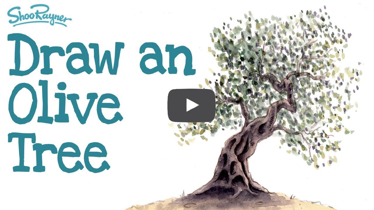 1280x720 How To Draw And Paint An Ancient Olive Tree - Olive Tree Drawing