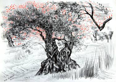375x266 Love Olive Tree Drawing - Olive Tree Drawing