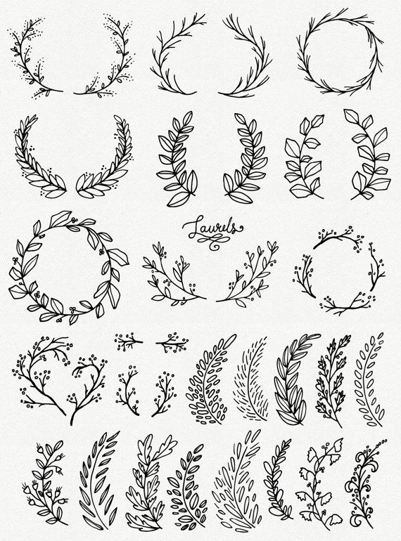 570x770 laurel wreath crown clipart collection - Olive Wreath Drawing